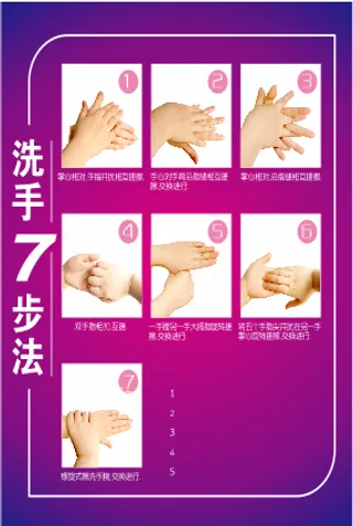 洗手七步法40×60cm