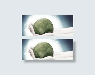 环境盆栽艺术divcss网页模板