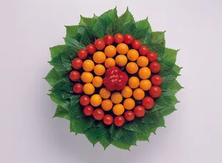 水果创意摄影图片