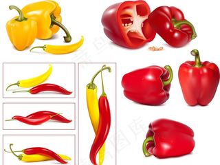 逼真绘制柿子椒和辣椒图片