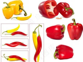 逼真绘制柿子椒和辣椒图片