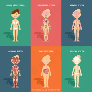 卡通人物扁平化可爱各种职业矢量素材