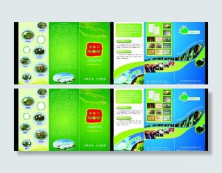 加工熟海带三折页图片