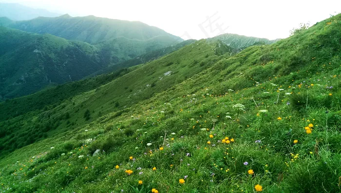 小五台山图片