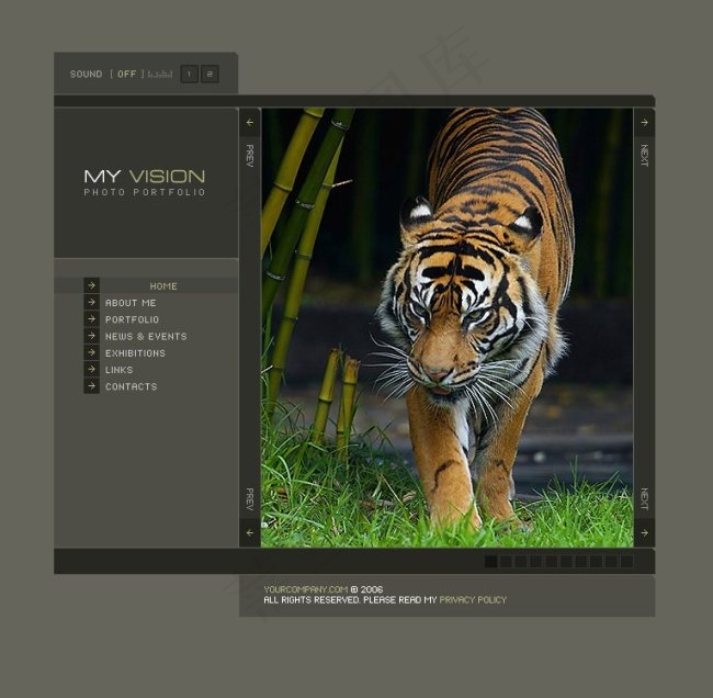 野生动物网站psd模板
