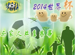 2014巴西世界杯与家人共享赛事海...