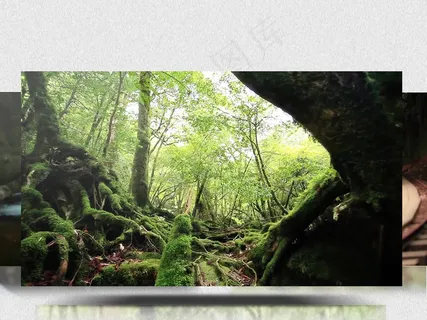 春季雪山融化绿色生长旅游拍摄唯美大... 春季雪山融化绿色生长旅游拍摄唯美大...