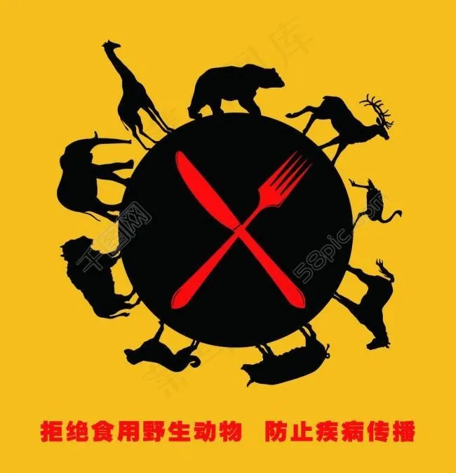 食用野生动物图片psd模版下载