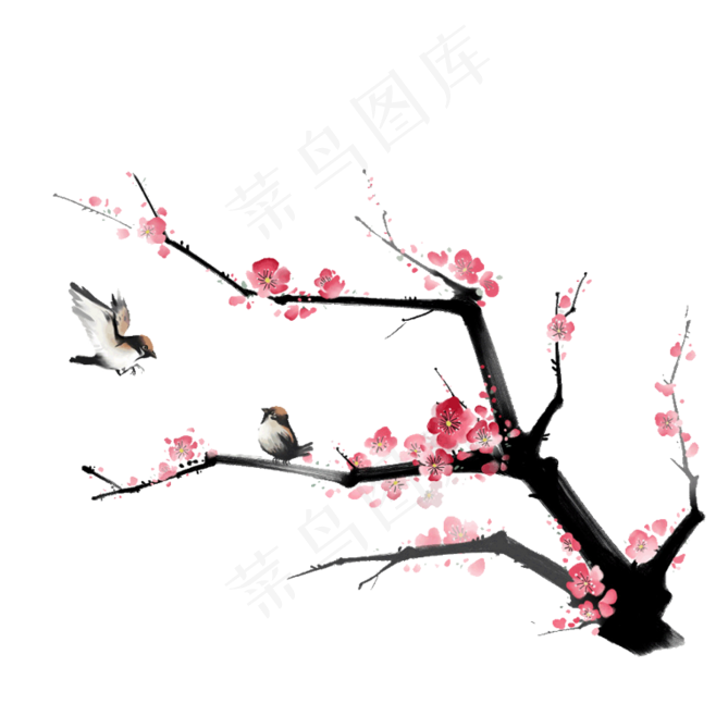 梅花树枝