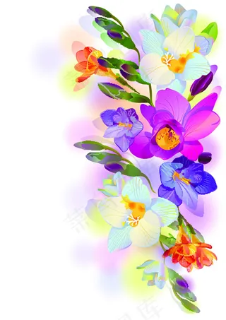 温馨彩绘花卉