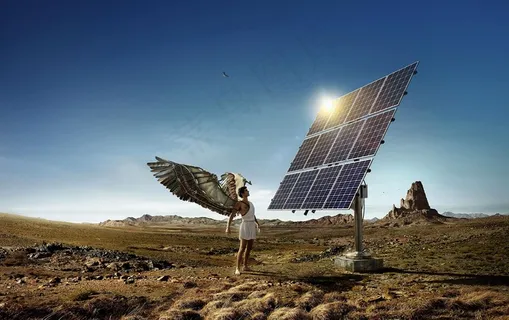 巴西platinum公司作品图片