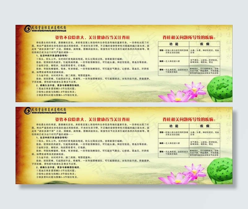 关注脊柱图片cdr矢量模版下载