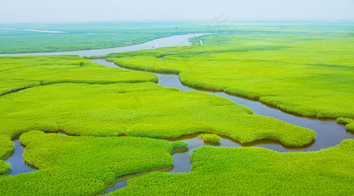 盘锦红海滩湿地图片