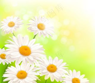 春天鲜花草地图片