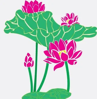 荷花矢量素材图片