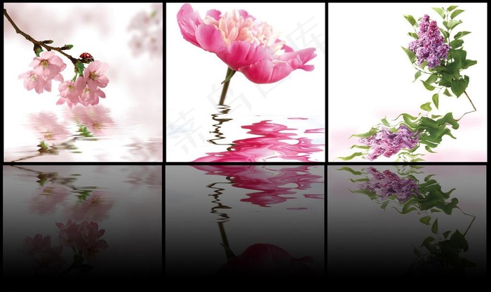 花朵倒影三联画图片(11811X7677(DPI:300))psd模版下载