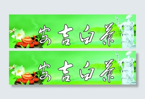 安吉白茶 茶叶图片