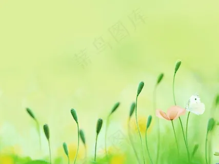 春暖花开淡雅背景图片