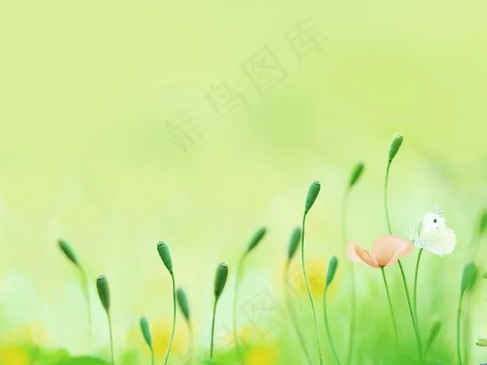 春暖花开淡雅背景图片 春暖花开淡雅背景图片