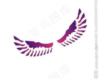 t恤印花之 雄鹰翅膀图片