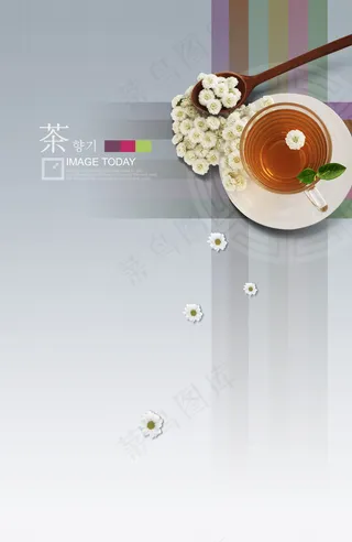 茶语菊花茶画册PSD分层素材