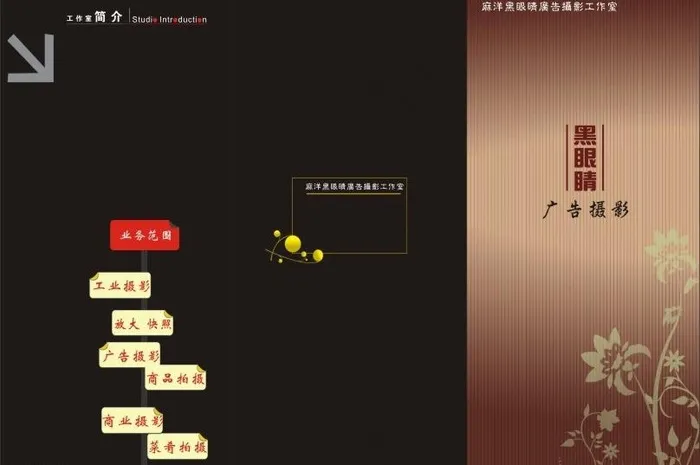 摄影宣传页图片cdr矢量模版下载