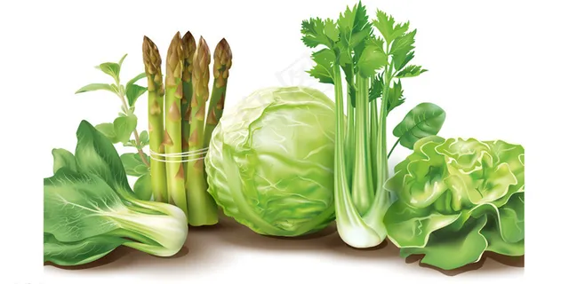 新鲜蔬菜矢量素材图片