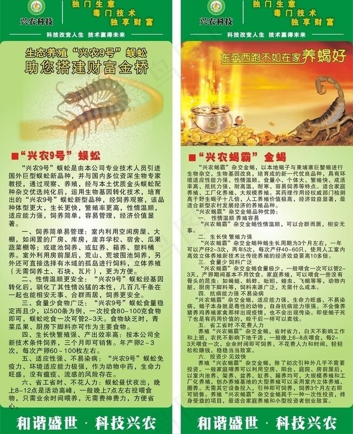 蝎子蜈蚣养殖x展架图片cdr矢量模版下载