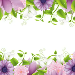 花卉植物边框背景