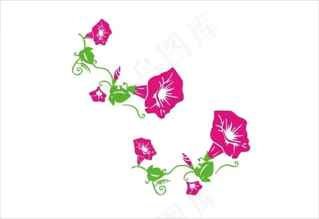 漂亮的牵牛花矢量CDR文件