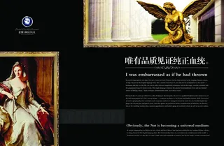 欧式地产楼书图片