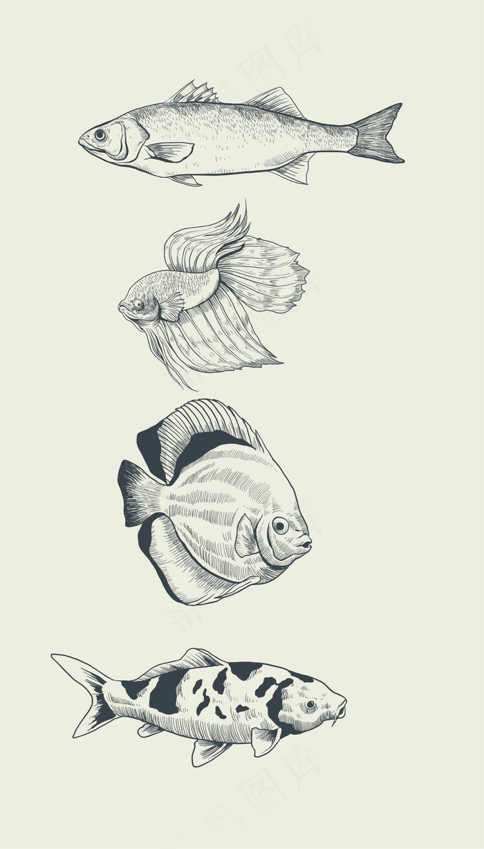 手绘动物简笔插画