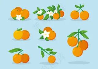 手绘橘子水果素材