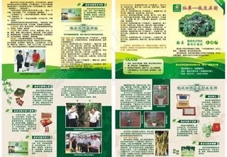 仙草铁皮石斛画册图片