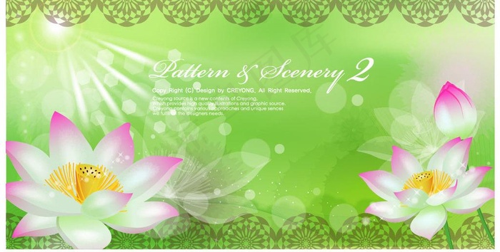 梦幻荷花背景图片