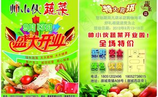 蔬菜宣传单图片