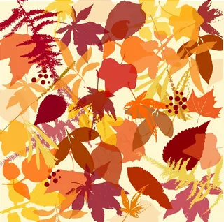 秋天的落叶背景