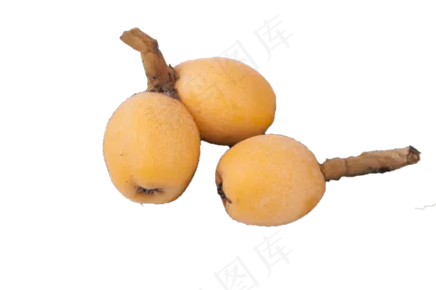 三个新鲜的枇杷果子