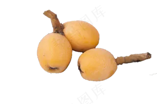 三个新鲜的枇杷果子