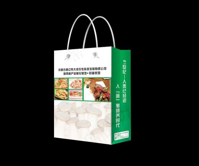 手提袋图片cdr矢量模版下载
