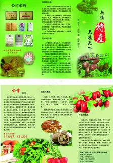 大红枣宣传页图片