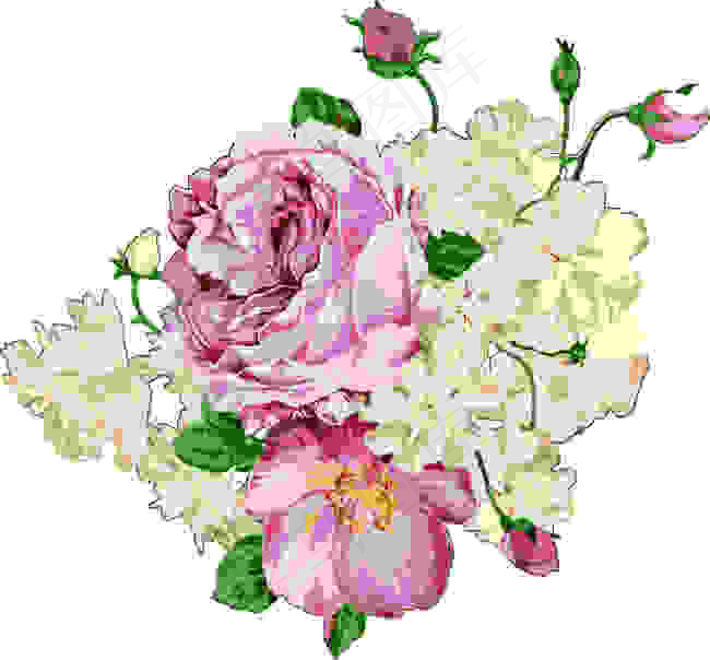 复古手绘花卉 矢量图