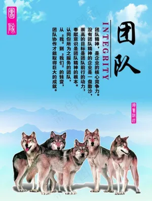 企业文化模版