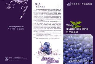 蓝莓三折页图片