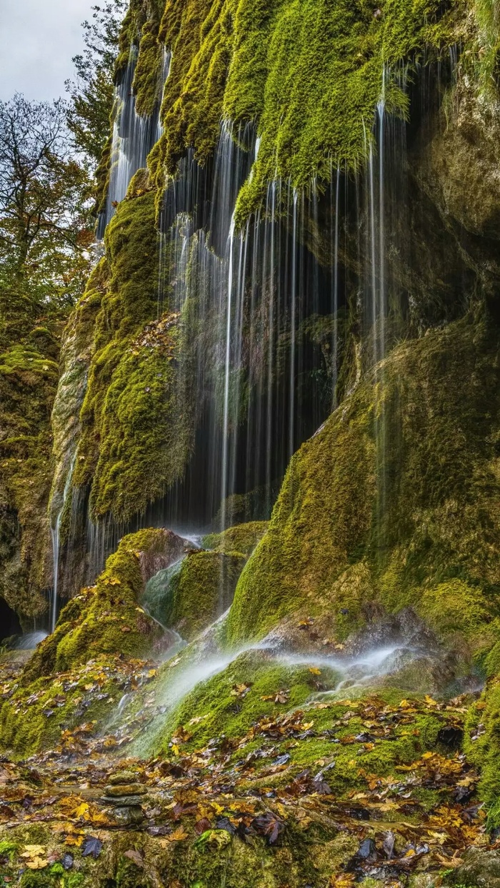 苔藓流水高清摄影图片
