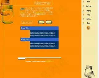 国内时尚网页素材