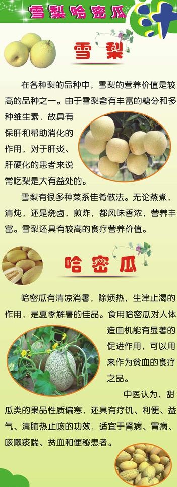 雪梨哈密瓜的营养价值易拉宝图片