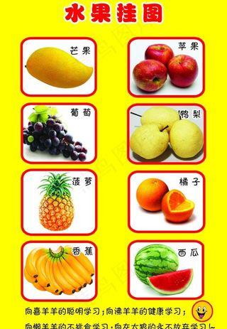 水果挂图图片