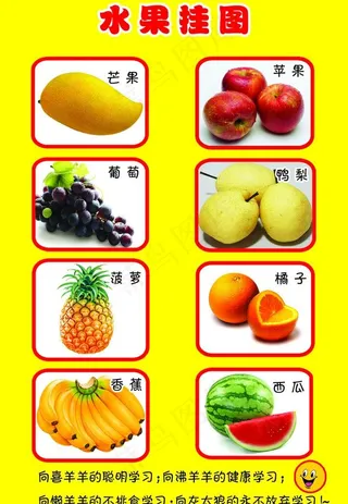 水果挂图图片
