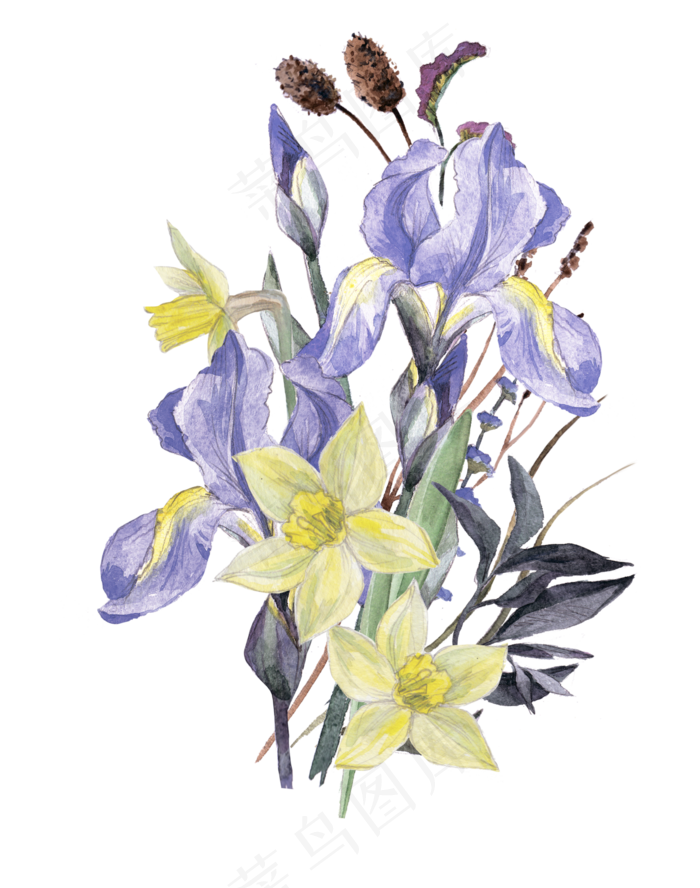 素雅手绘水彩花朵树叶蝴蝶png免扣...